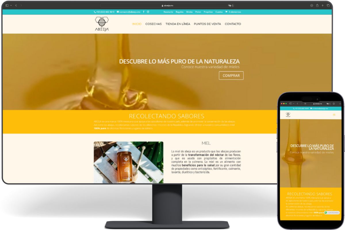 BRANDING AND WEBSITE PORTFOLIO5