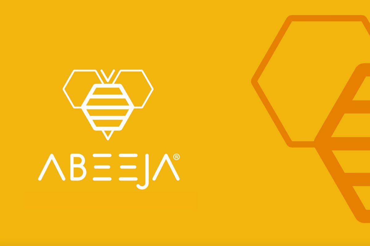 BRANDING AND WEBSITE PORTFOLIO7